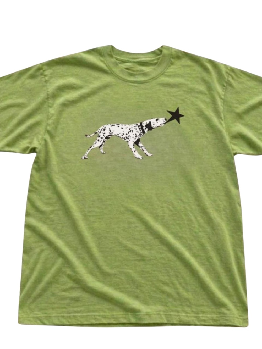 Gildan Light Green Dalmatian Star Graphic Tee, Gift For Her, For Him
